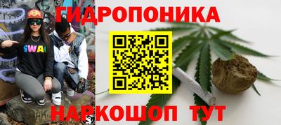 крисы Ирбит