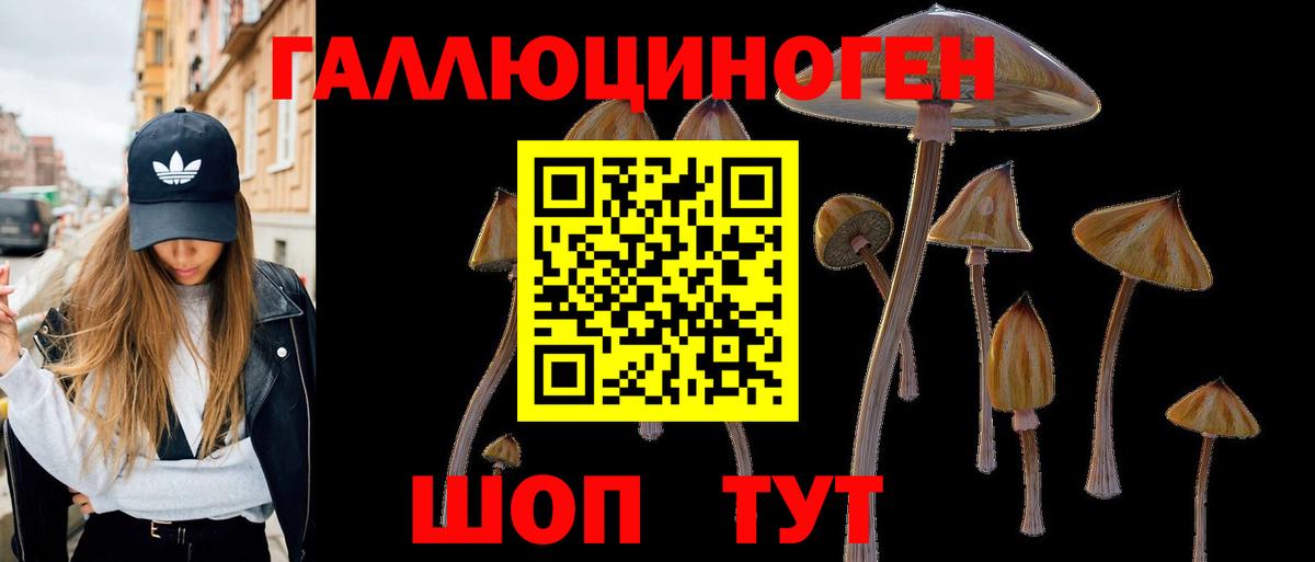 Псилоцибиновые грибы мицелий Кунгур
